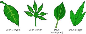 2025 - A - BIOSISTEMATIKA TUMBUHAN (GENAP 2025-2026)
